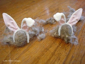 dust bunnies?  what dust bunnies?